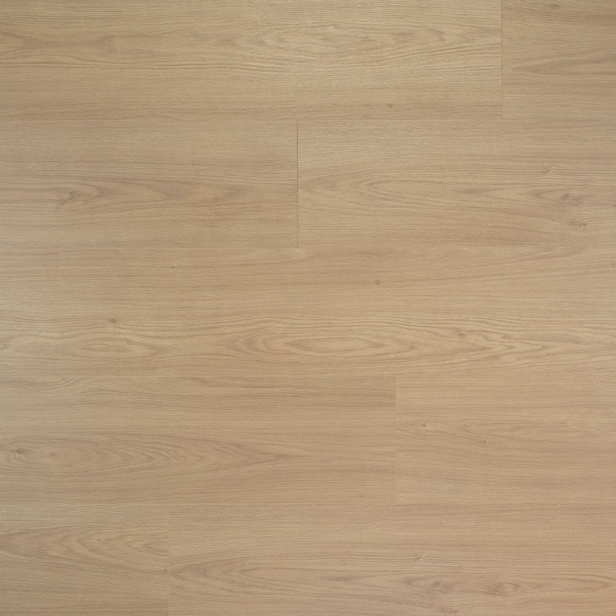 Douwes Dekker - Truffel Brede Plank