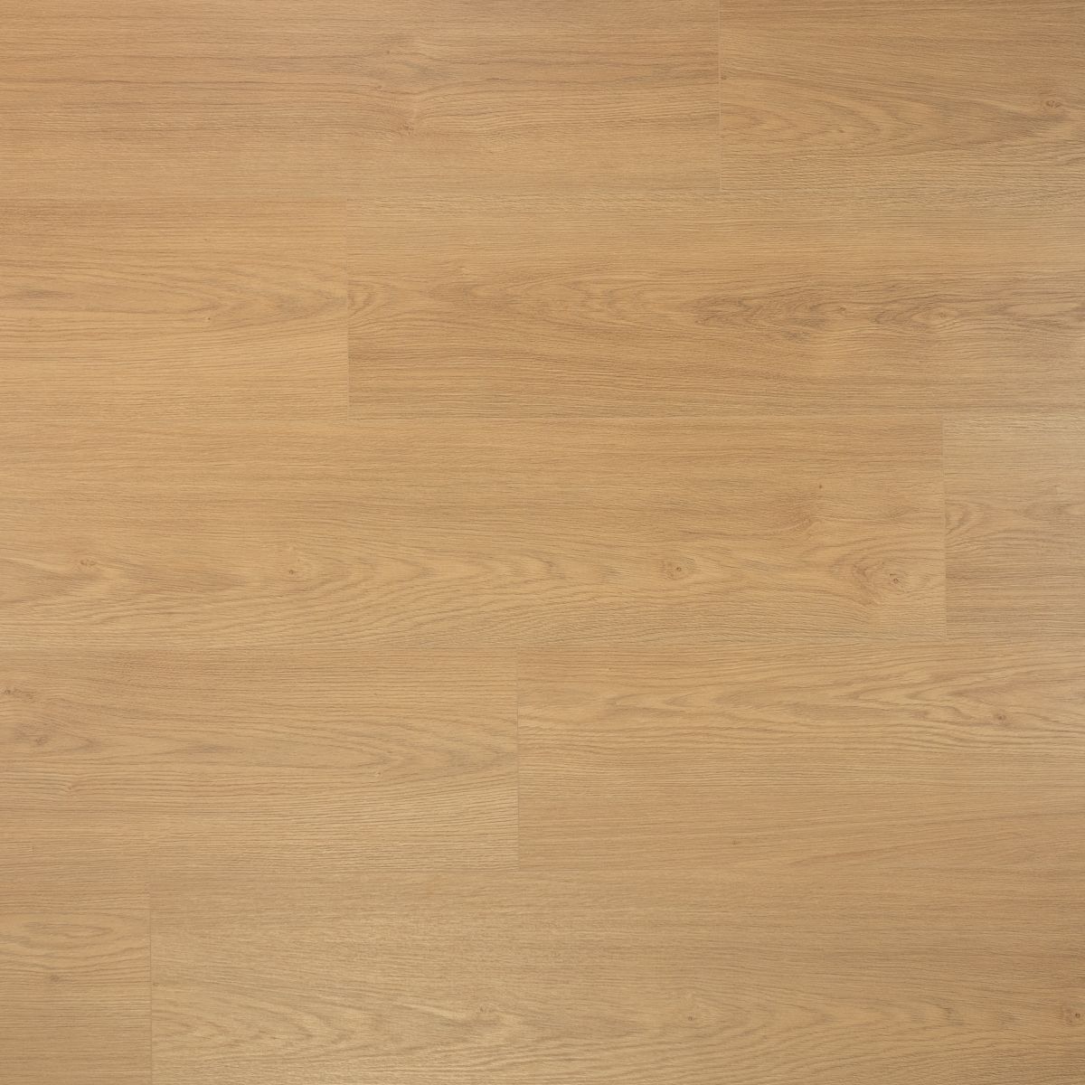 Douwes Dekker - Kaviaar Brede Plank