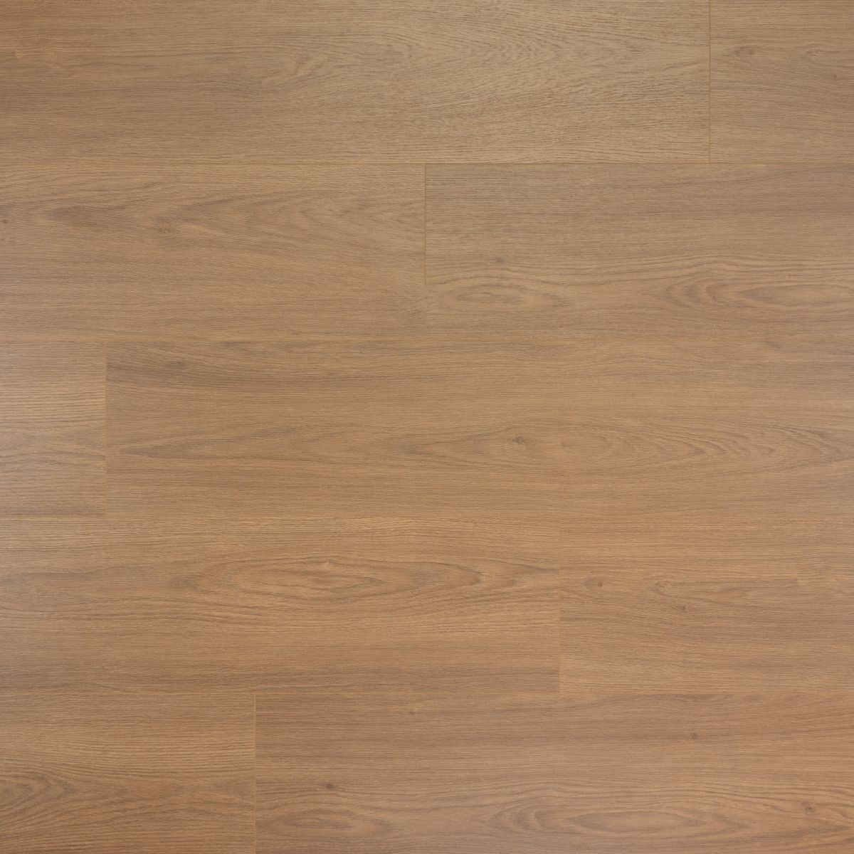 Douwes Dekker - Olijf Brede Plank