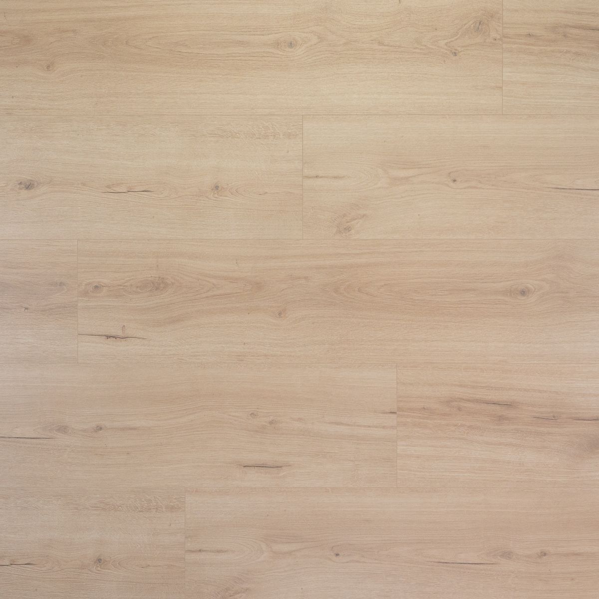 Douwes Dekker - Vijg Brede Plank