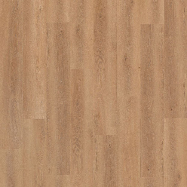 Beautifloor -  Ministre Carnot Plank Dryback (Plak)