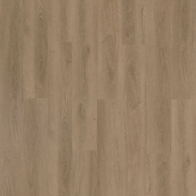 Beautifloor -  Ministre Loubet Plank Dryback (Plak)