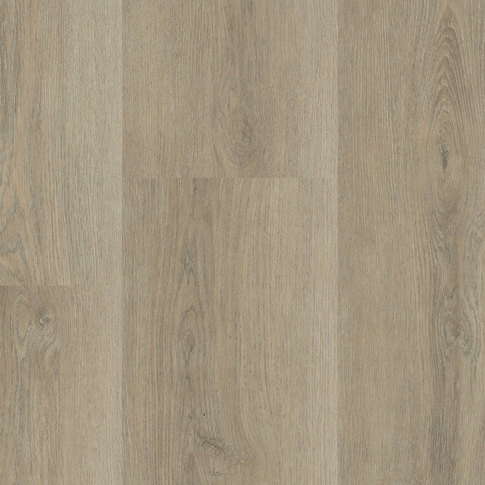 Montinique - Charente 5445 Plank XL Naturel eiken grijs