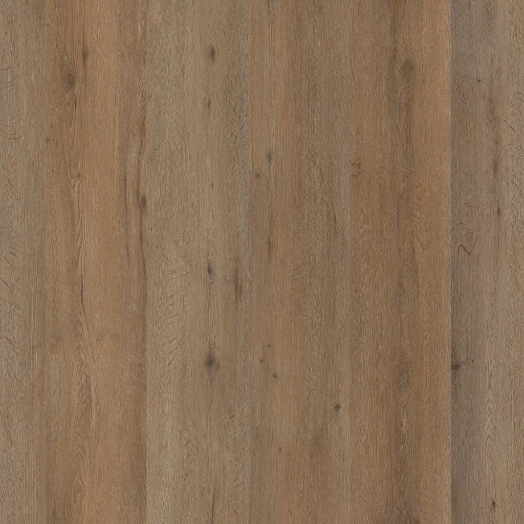 Ambiant - Vivero Dryback Smoky (Plak)