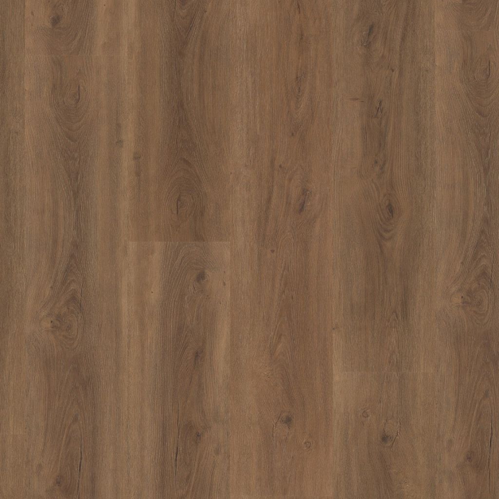 Ambiant - Robusto Dryback Warm Brown (Plak)