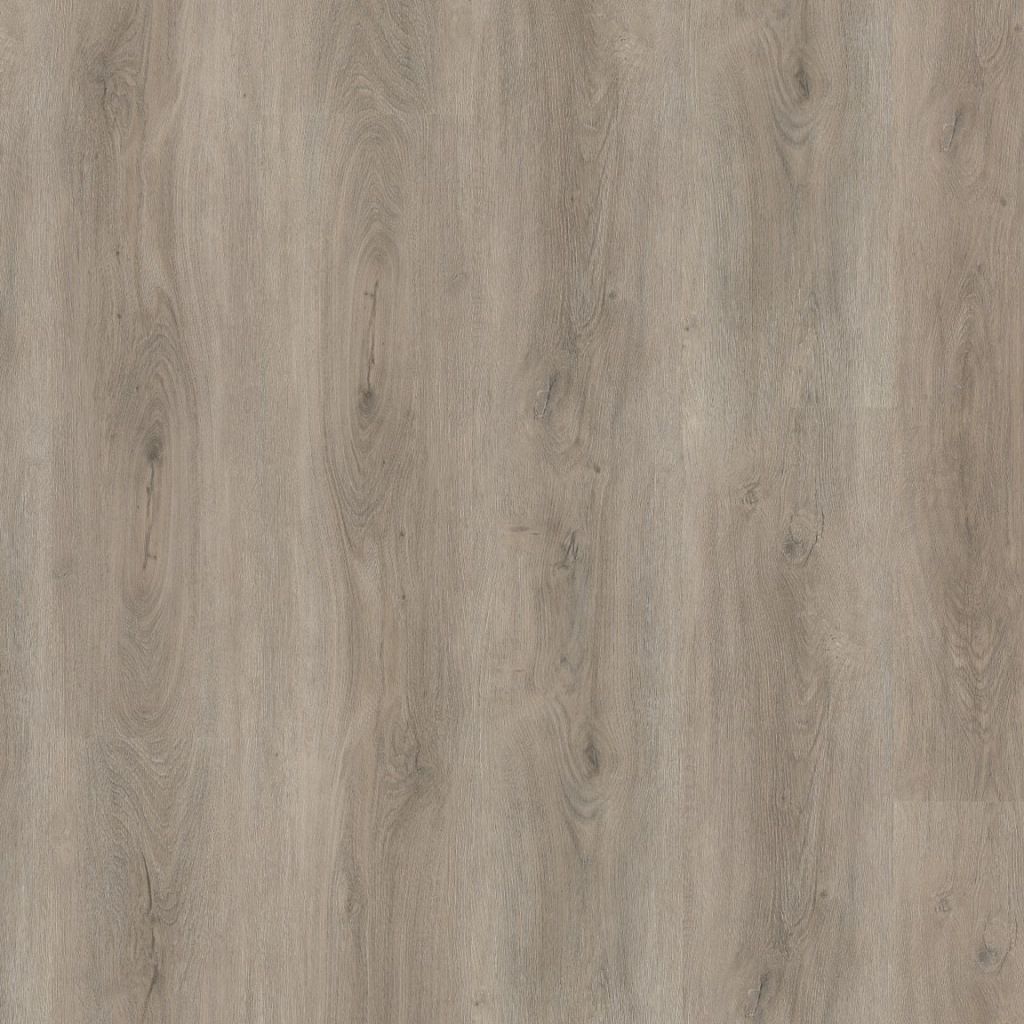 Ambiant - Robusto Dryback Light Grey (Plak)