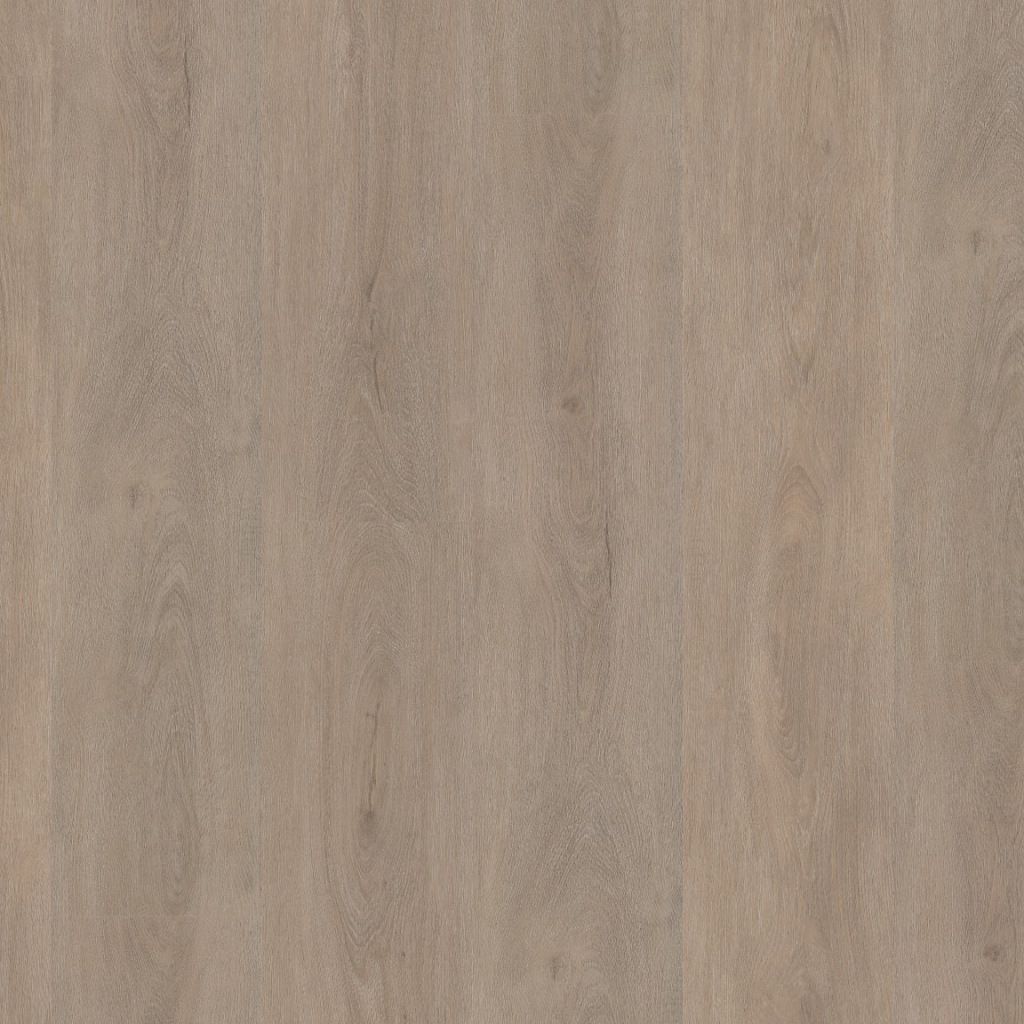 Ambiant - Robusto Dryback Light Oak (Plak)