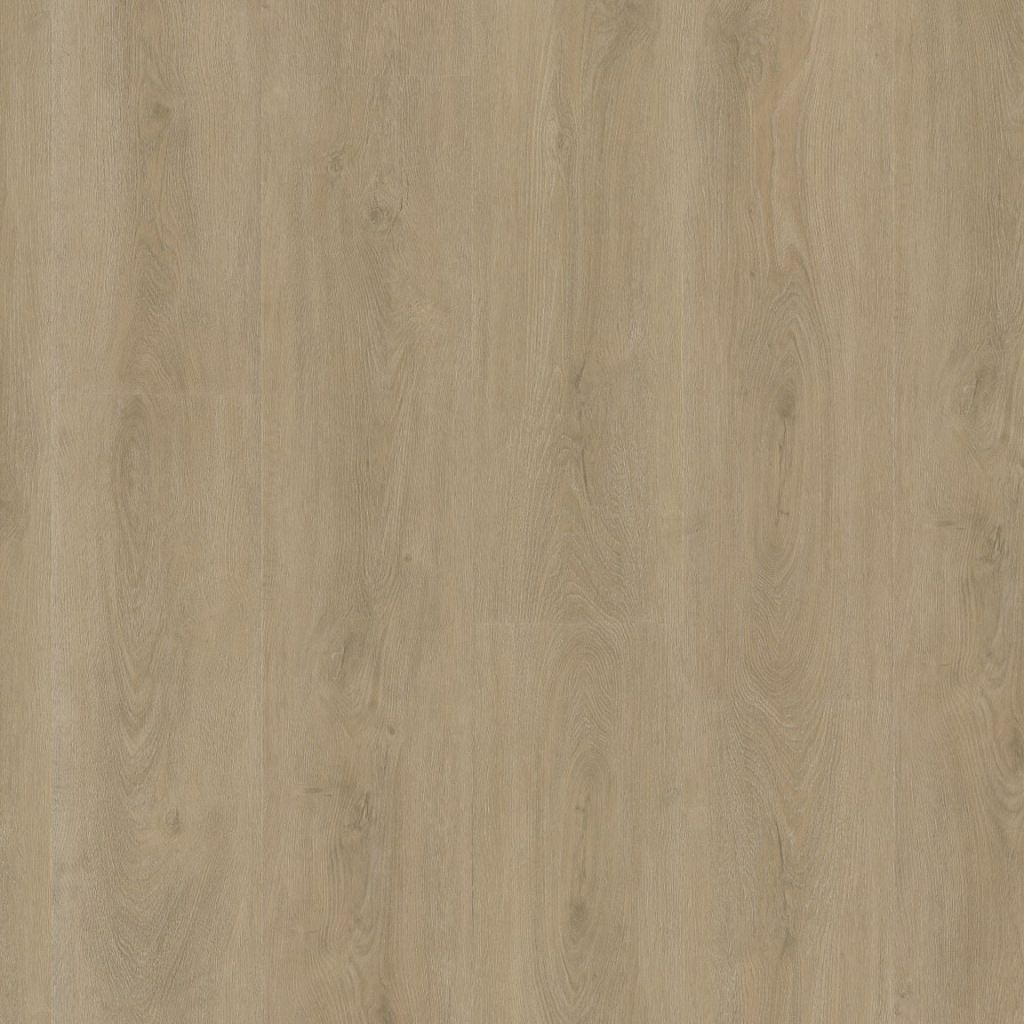 Ambiant - Robusto Dryback Beige (Plak)