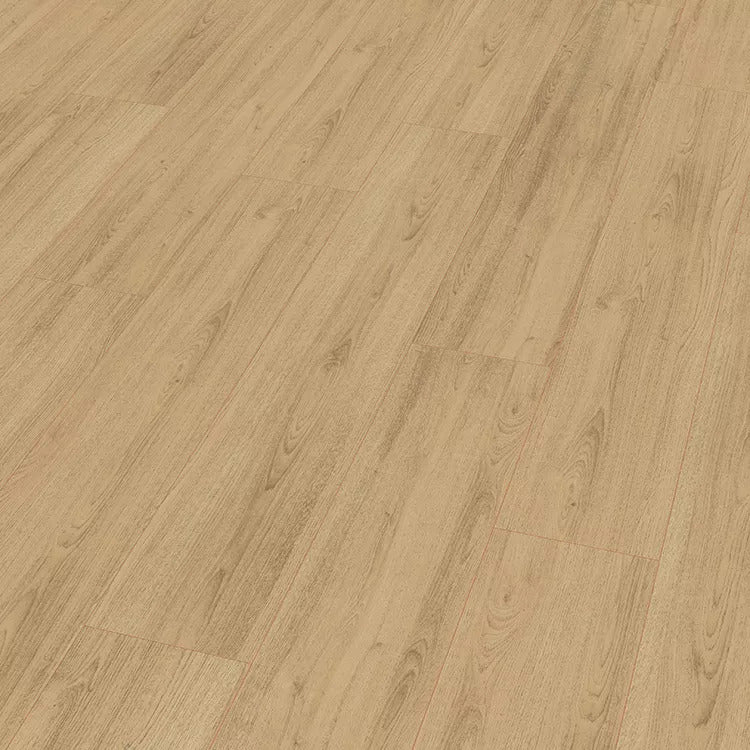 LSCZ68EBL043 - Engels Natuur Eiken