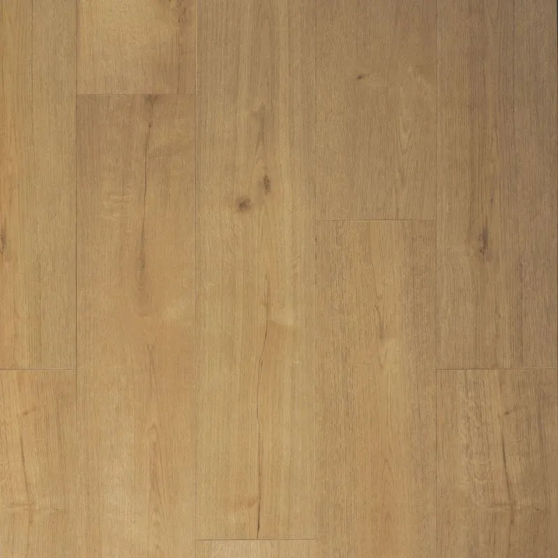 Douwes Dekker - Praktisch Kletskop Dryback Plank (Plak)