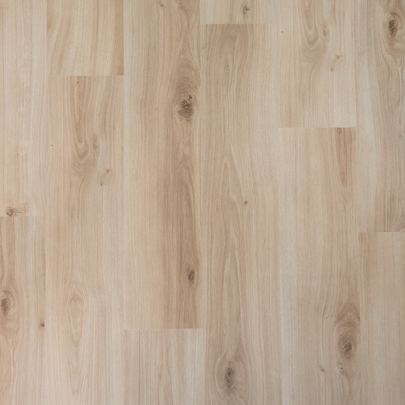 Douwes Dekker - Spontaan Gember Plank