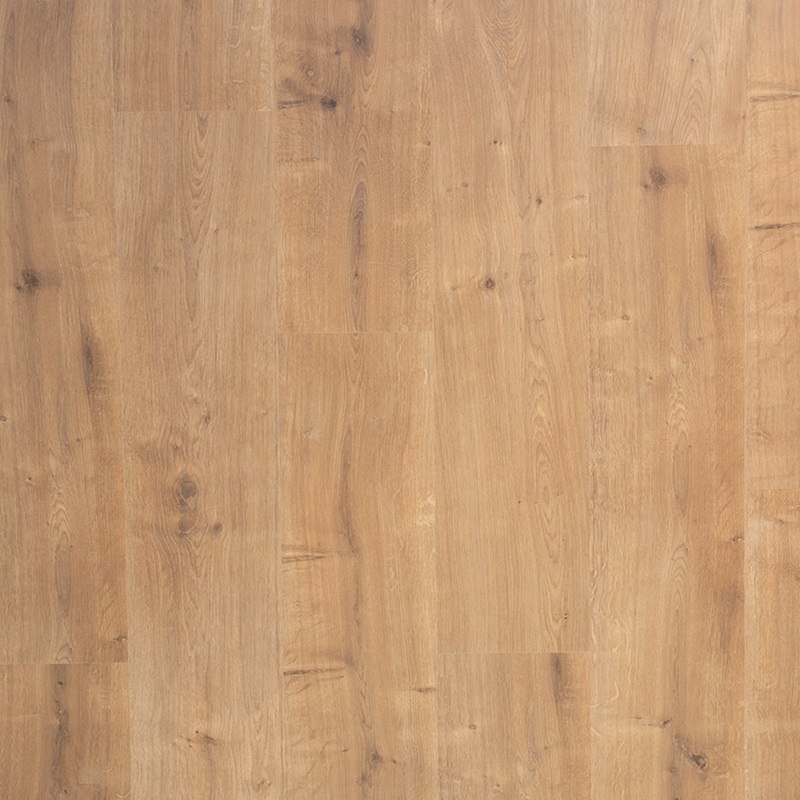 Douwes Dekker - Spontaan Saffraan Plank