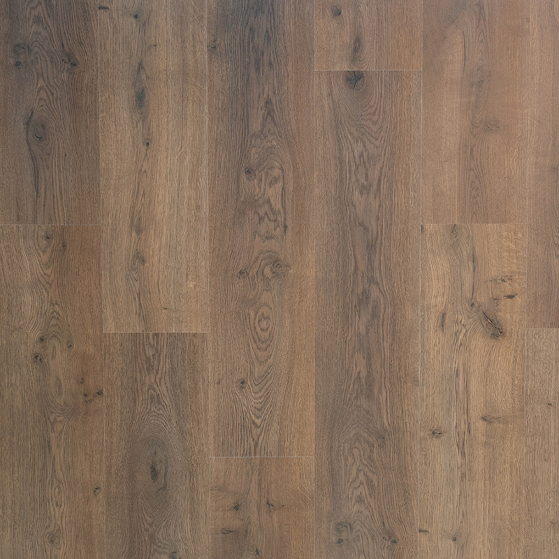 Douwes Dekker - Spontaan Dille Plank