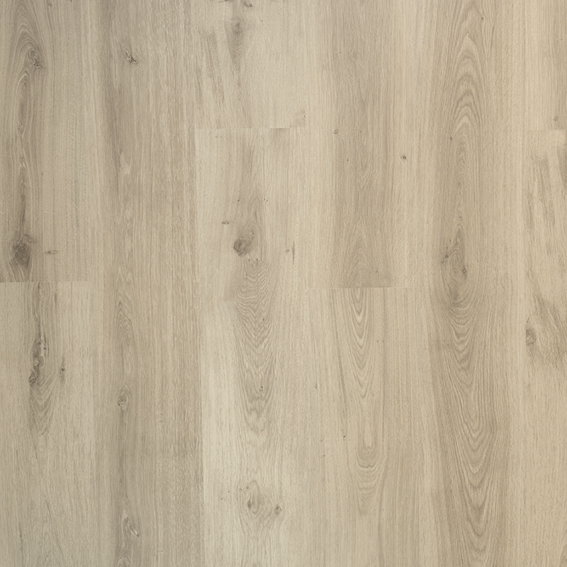 Douwes Dekker - Spontaan Tijm Plank