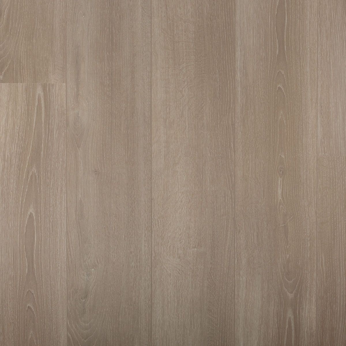 Douwes Dekker - Rozemarijn Brede Plank