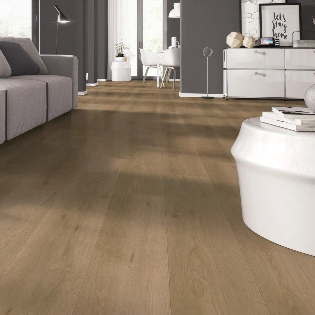 Douwes Dekker - Ambitieus Gemberkoek Dryback Plank (Plak)