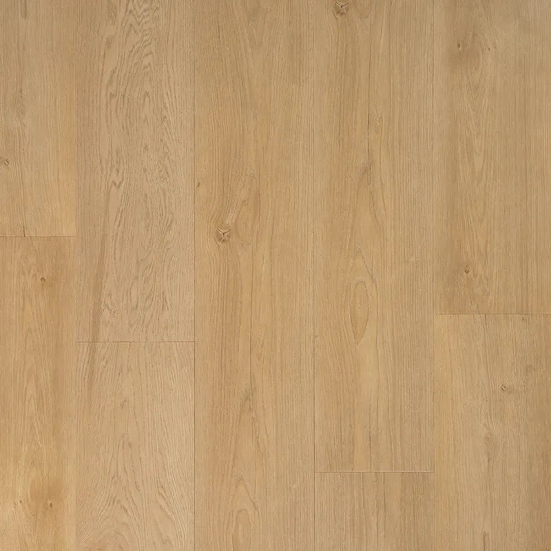 Douwes Dekker - Ambitieus Boterkoek Dryback Plank (Plak)