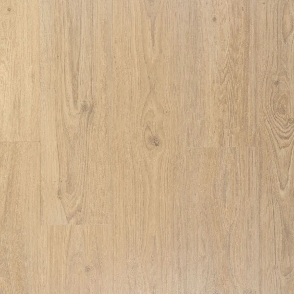 Douwes Dekker - Ambitieus Creme Brulee Dryback Plank (Plak)