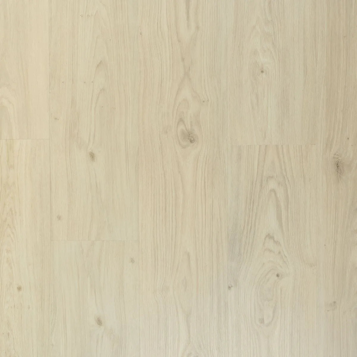 Douwes Dekker - Ambitieus Cheesecake Dryback Plank (Plak)