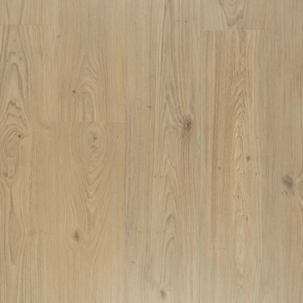 Douwes Dekker - Ambitieus Panna Cotta Dryback Plank (Plak)