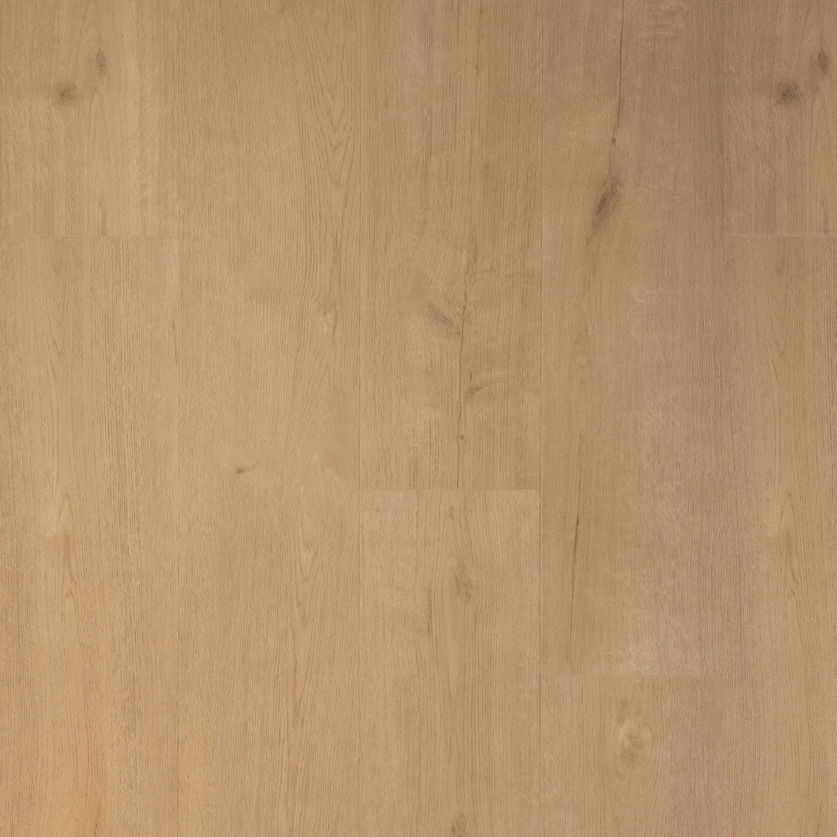 Douwes Dekker - Praktisch Biscuit Dryback Plank (Plak)