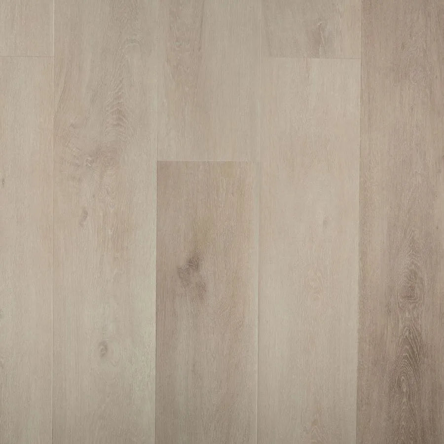 Douwes Dekker - Ambitieus Pepermunt Dryback Plank (Plak)