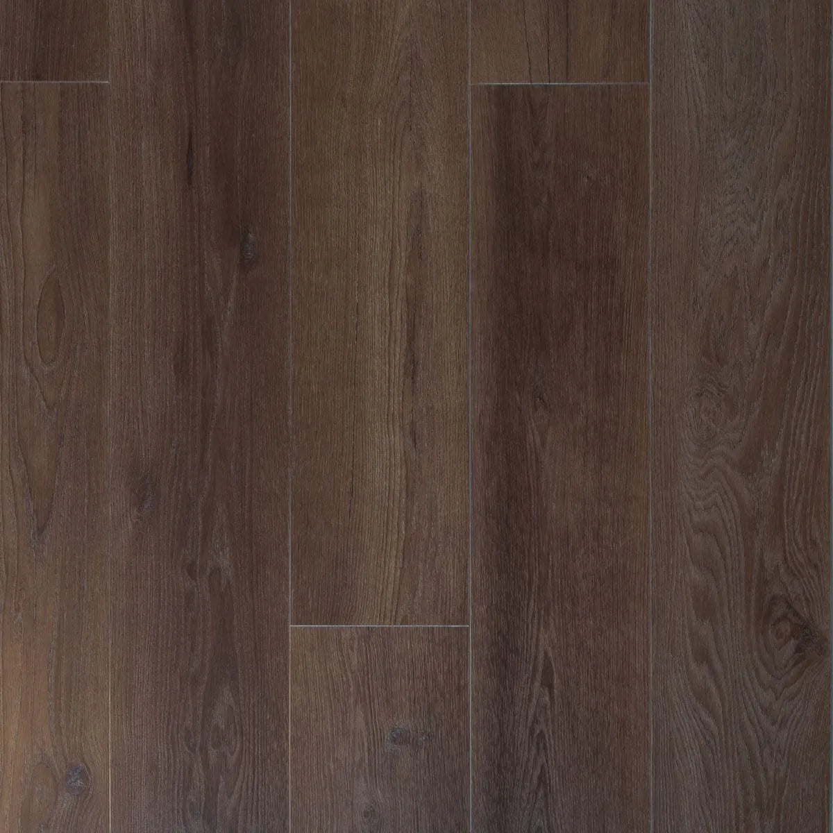 Douwes Dekker - Ambitieus Bastogne Dryback Plank (Plak)