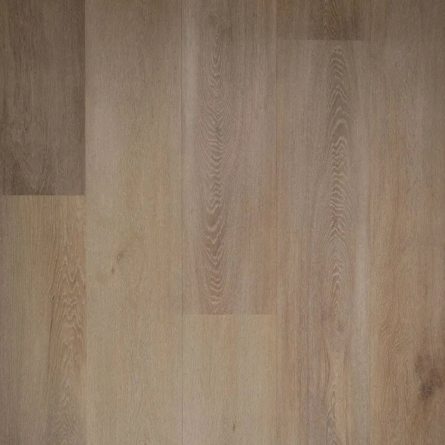 Douwes Dekker - Ambitieus Honing Dryback Plank (Plak)