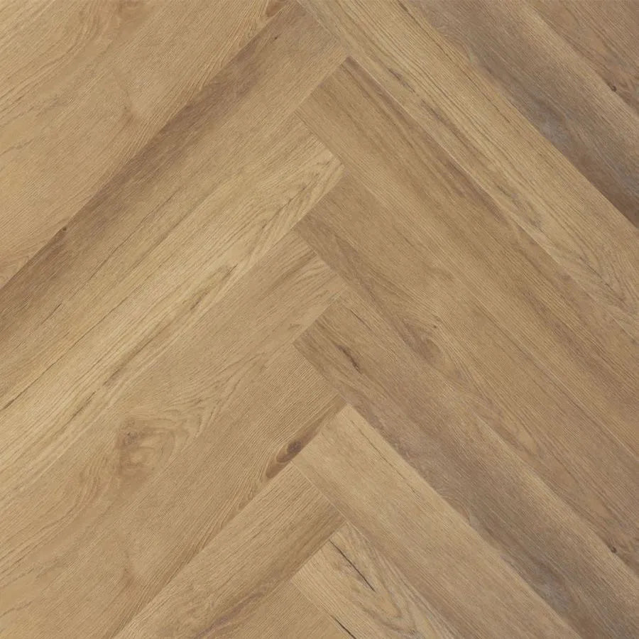 Douwes Dekker - Ambitieus Gemberkoek Dryback Visgraat (Plak)