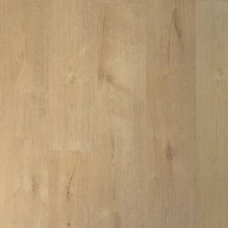 Douwes Dekker - Praktisch Sprits Dryback Plank (Plak)