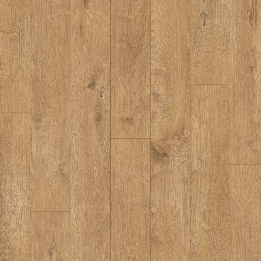 LSWP684003 - Natuur Eiken