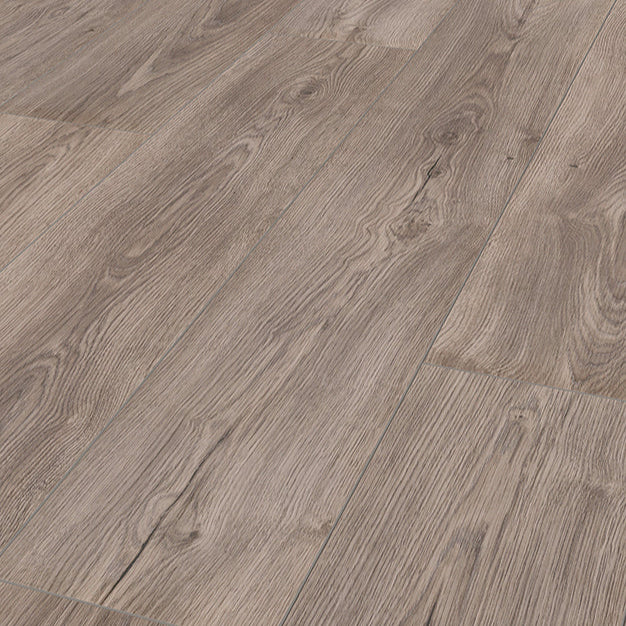 LSWPM68130 - Olijf Eiken