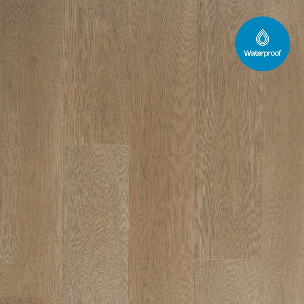 Douwes Dekker - Trots Solide Plank Kervel