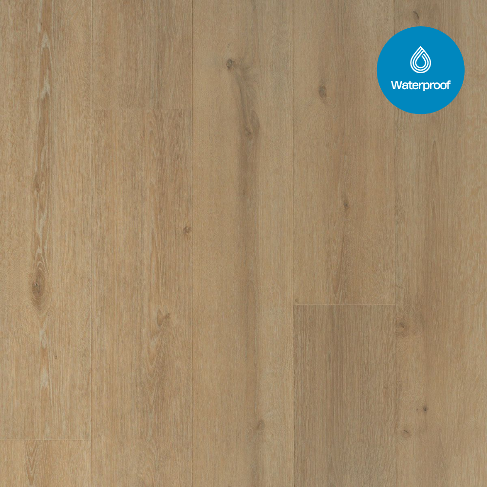 Douwes Dekker - Trots Solide Plank Laurier