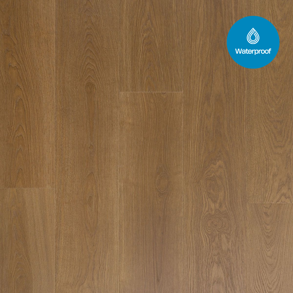 Douwes Dekker - Trots Solide Plank Salie