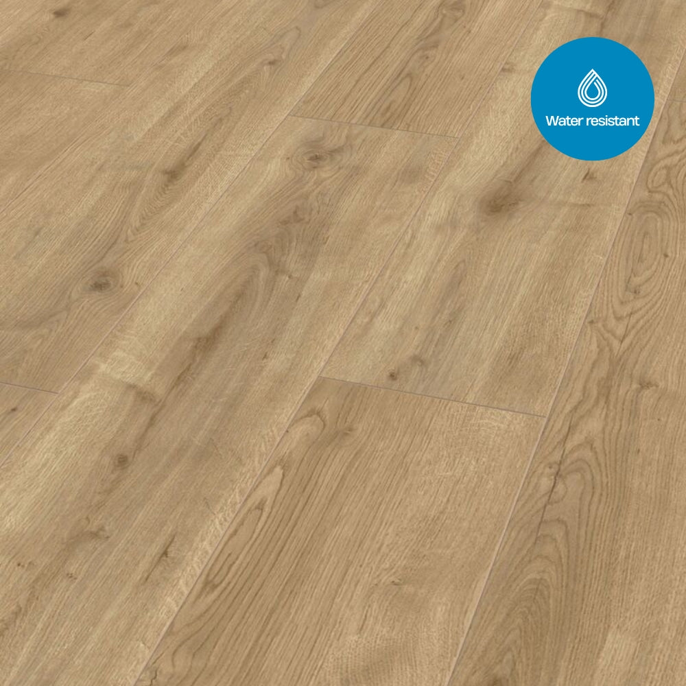 LSSTTF68823 - Brons Eiken