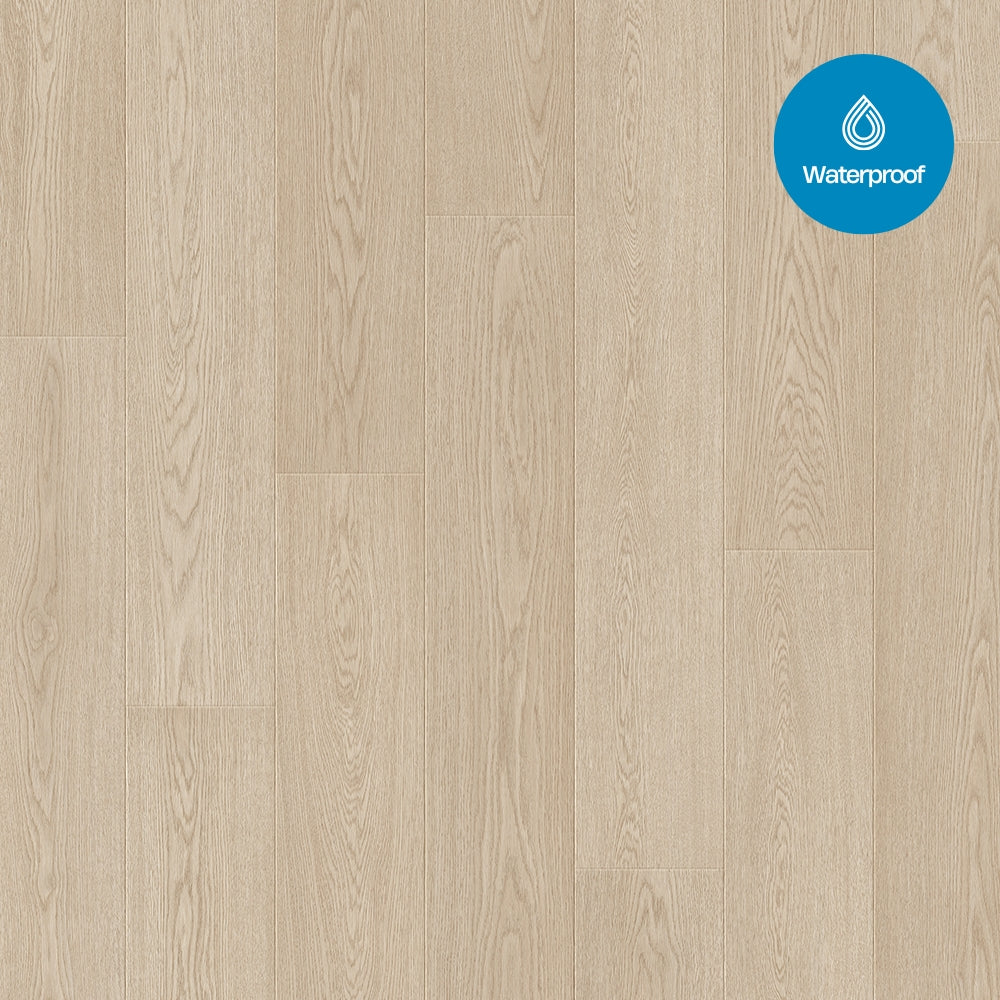 Beautifloor - Jackson Elton Plank
