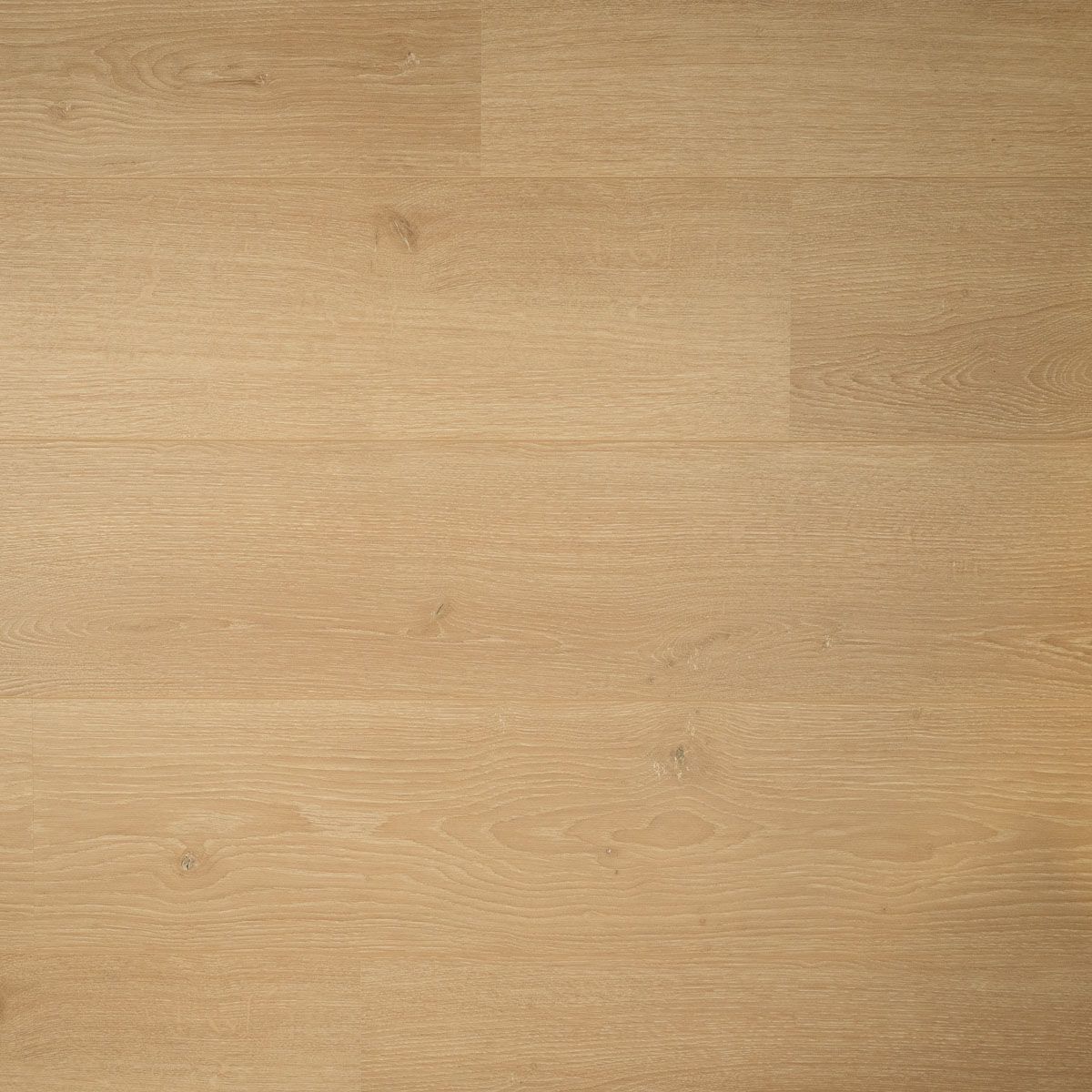 Douwes Dekker - Kamille Brede Plank