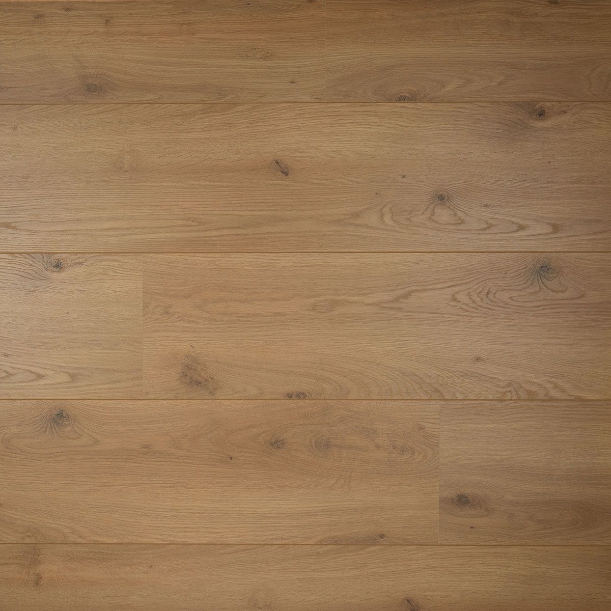 Douwes Dekker - Peterselie Brede Plank