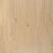 Douwes Dekker - Ambitieus Creme Brulee Dryback Plank (Plak)