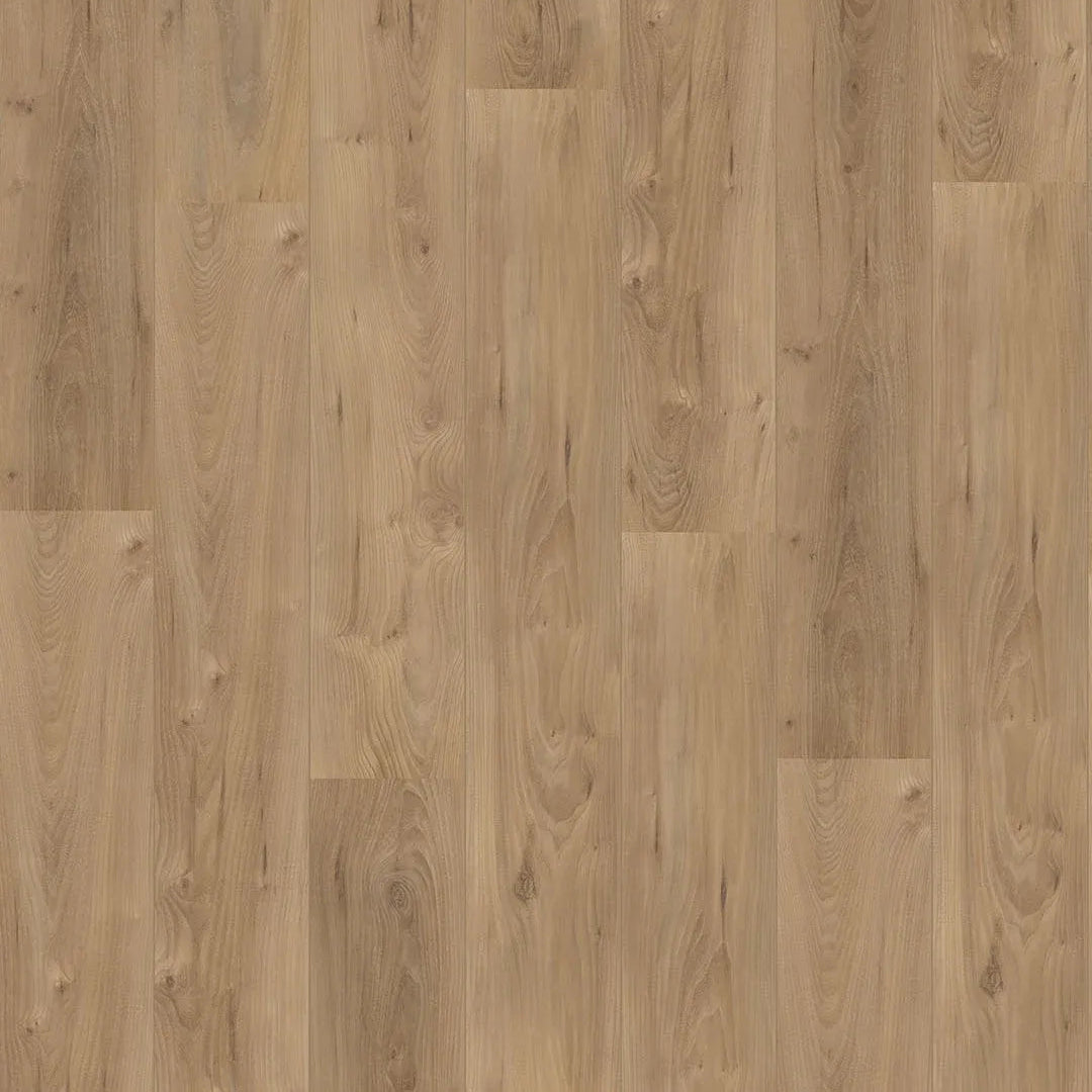 Hoomline - Royal V2 Lazio 755 Plank