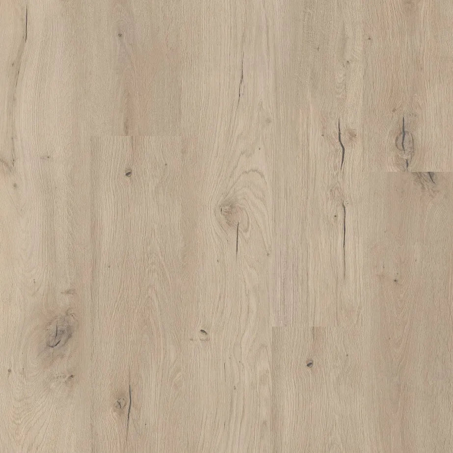 Coretec - 50 LVP Forest Click Plank